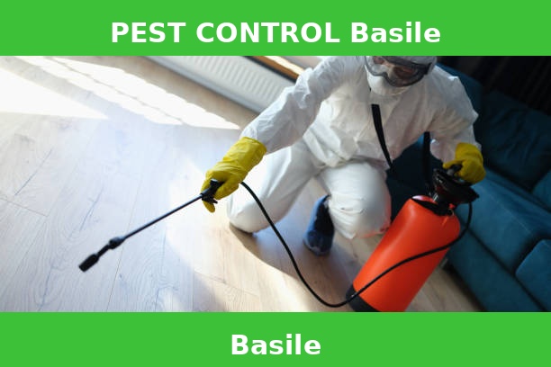 PEST CONTROL Basile
